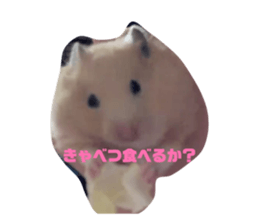 821296199