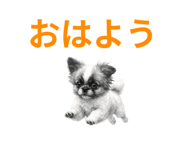 821297513