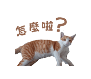 821343446