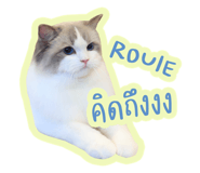 821344699