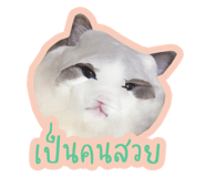 821344700
