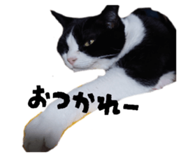 821350750