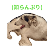 821387550