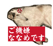 821387551