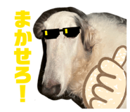 821387552