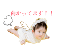 821400546
