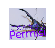 821406876