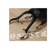 821406877