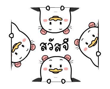 ลายที่ 17