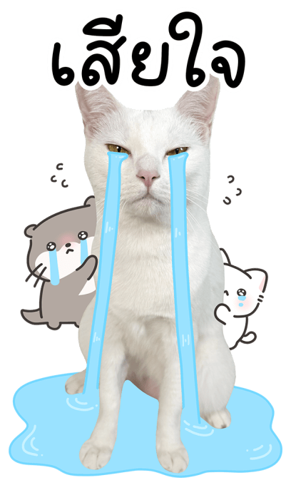 ลายที่ 3