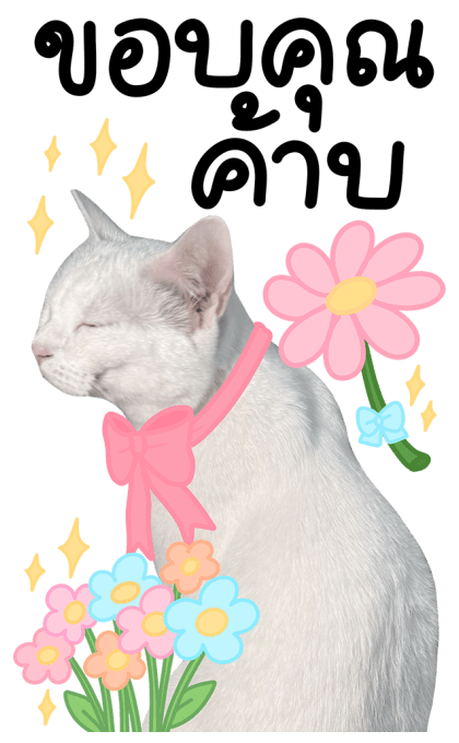 สโนว์ เจ้าแมวขาว รูปที่ 3