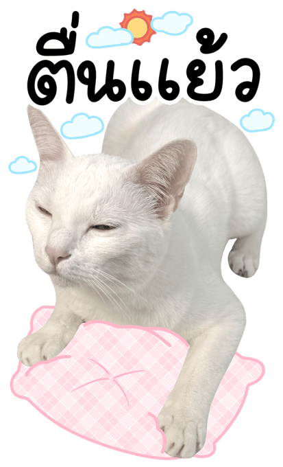 ลายที่ 7