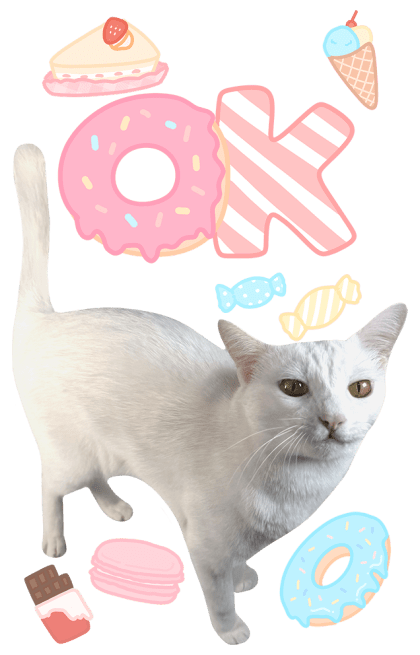 ลายที่ 9