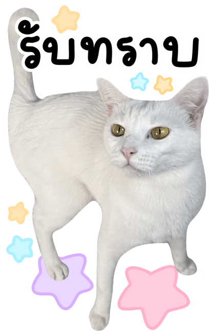 ลายที่ 11