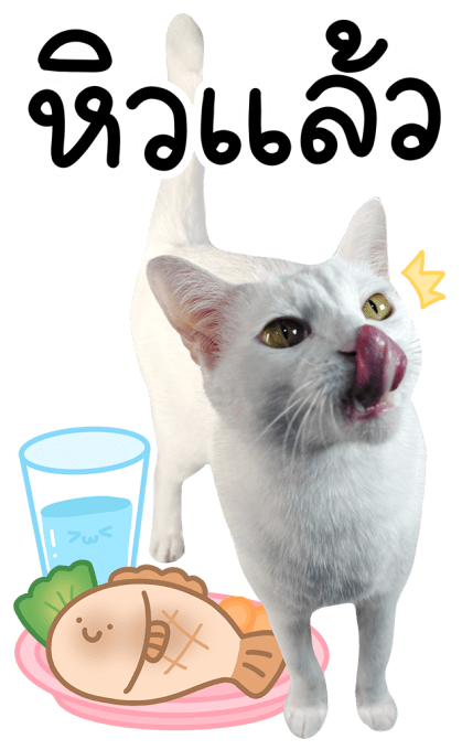 ลายที่ 13