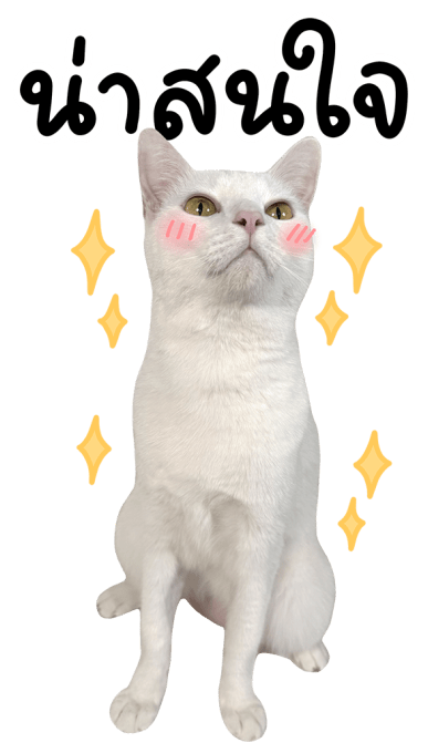 ลายที่ 17