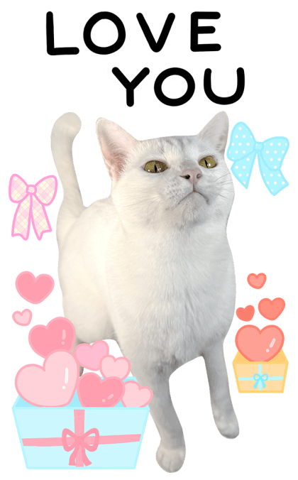 ลายที่ 19