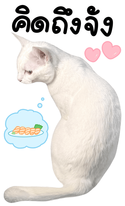 ลายที่ 21