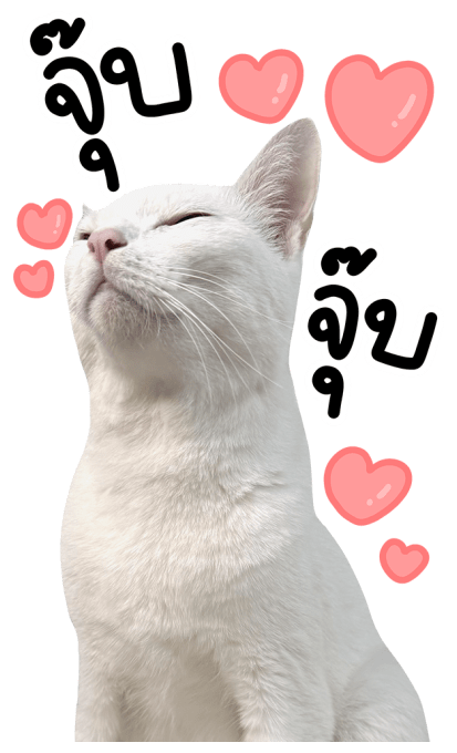 ลายที่ 23