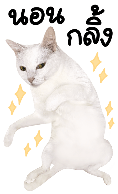 ลายที่ 25