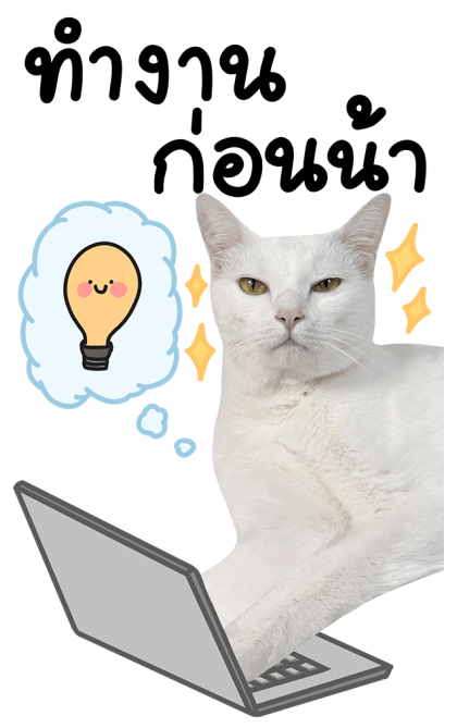 สโนว์ เจ้าแมวขาว รูปที่ 14