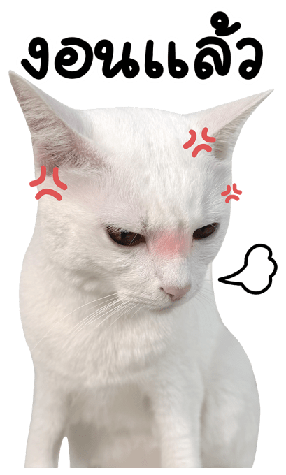 ลายที่ 31