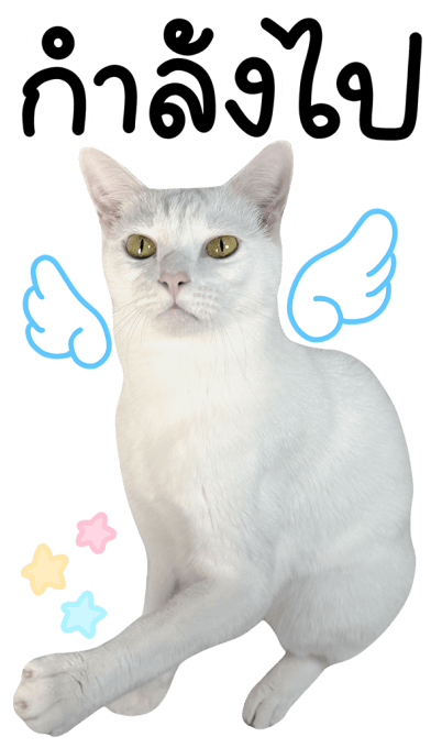 ลายที่ 33