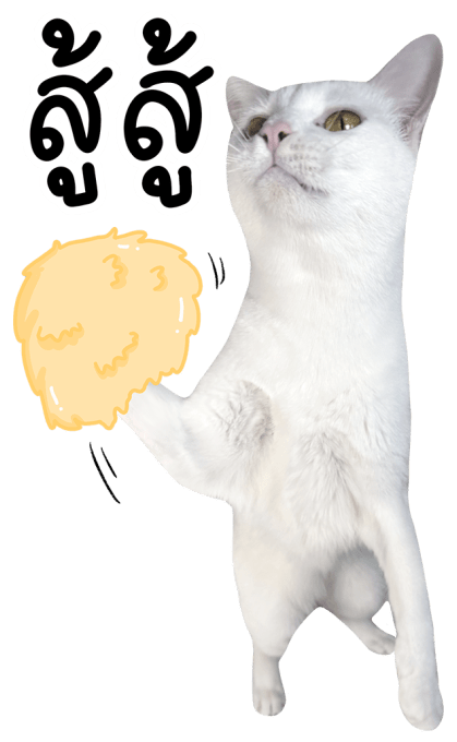 ลายที่ 35