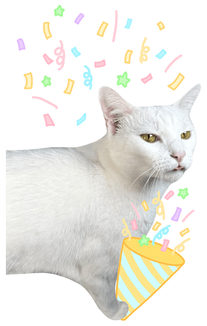 ลายที่ 37