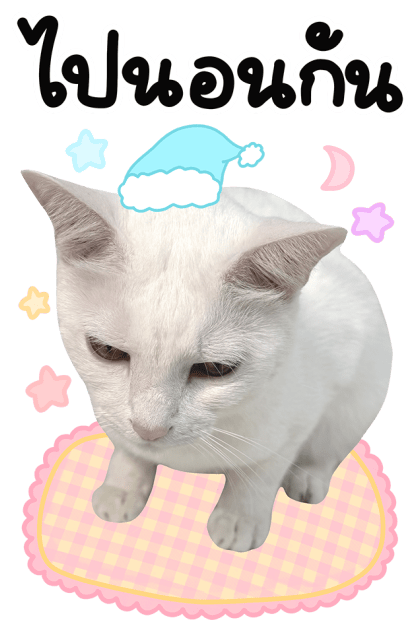 ลายที่ 43