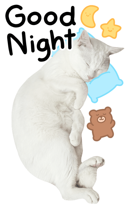 ลายที่ 47