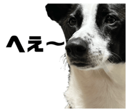 821442311