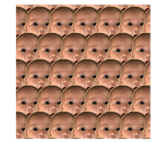 82148975