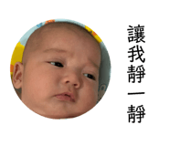 82148978