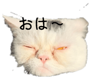 821495991