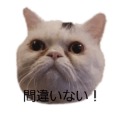 821495997