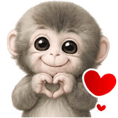 ลายที่ 5