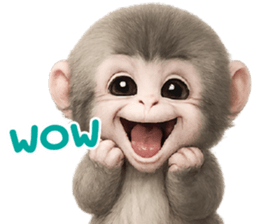 ลายที่ 11