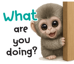 ลายที่ 13