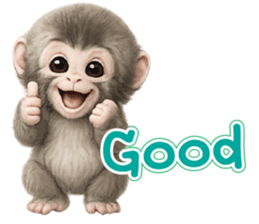 ลายที่ 17