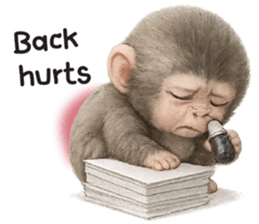 ลายที่ 23