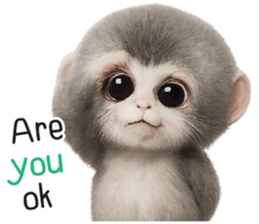 ลายที่ 25