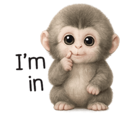 ลายที่ 31