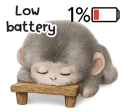 ลายที่ 41