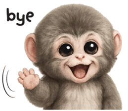 ลายที่ 51