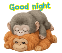 ลายที่ 79