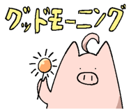 821504081
