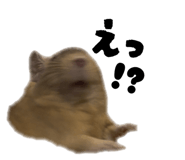 821550064