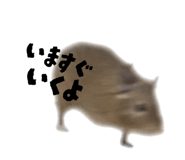 821550069