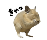 821550070
